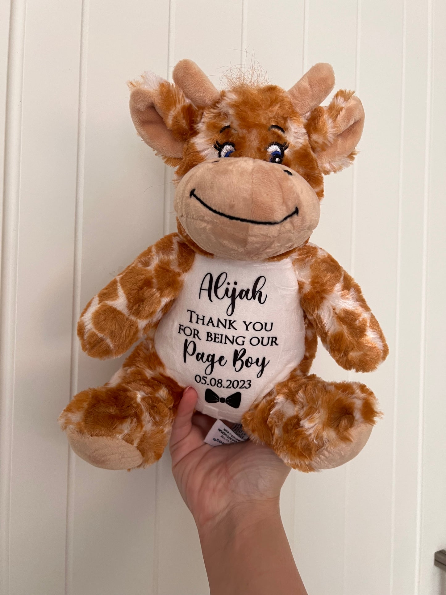 Personalised Mumbles Teddy’s Various
