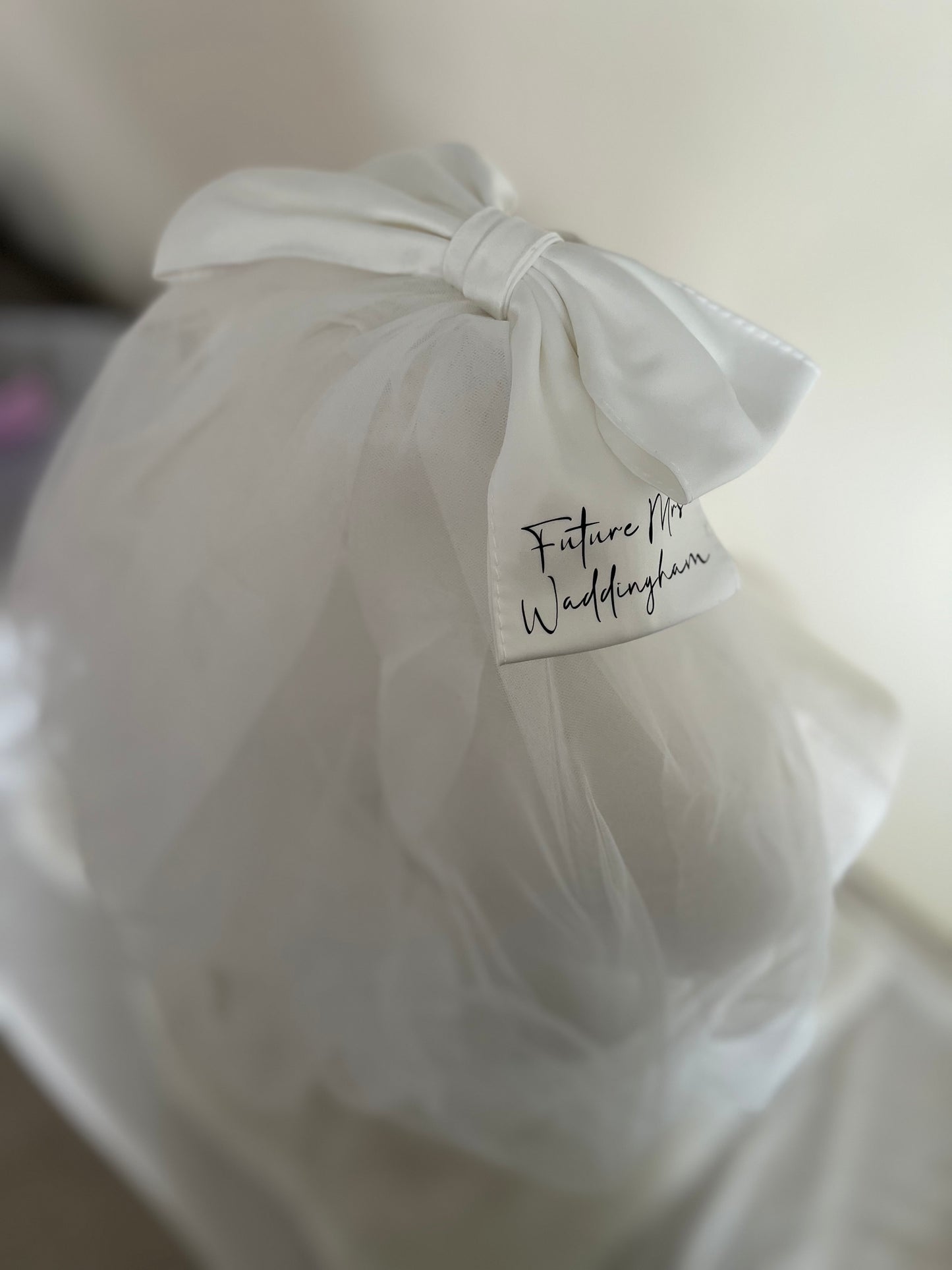 Bow Clip Veil