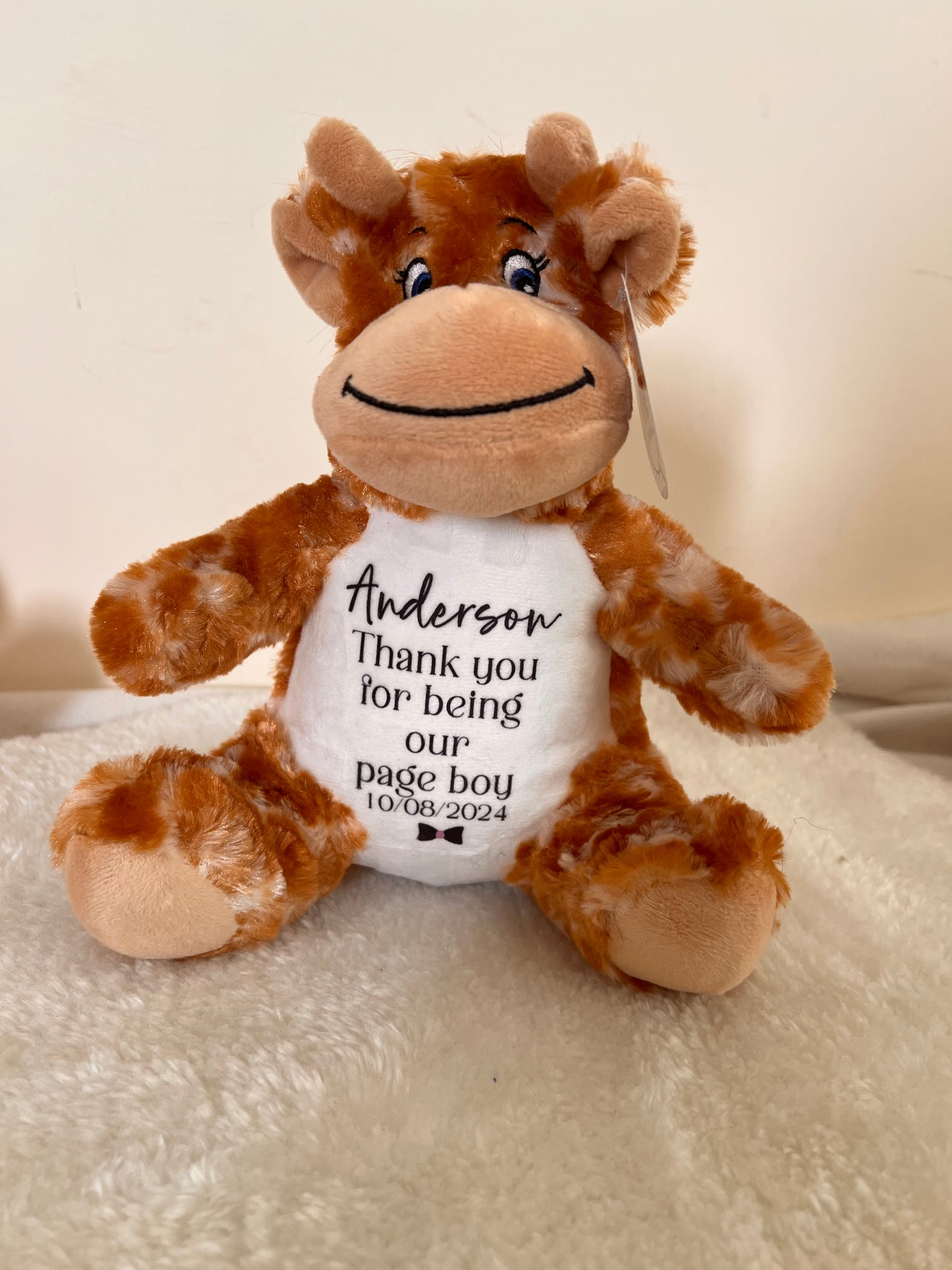 Personalised Mumbles Teddy’s Various