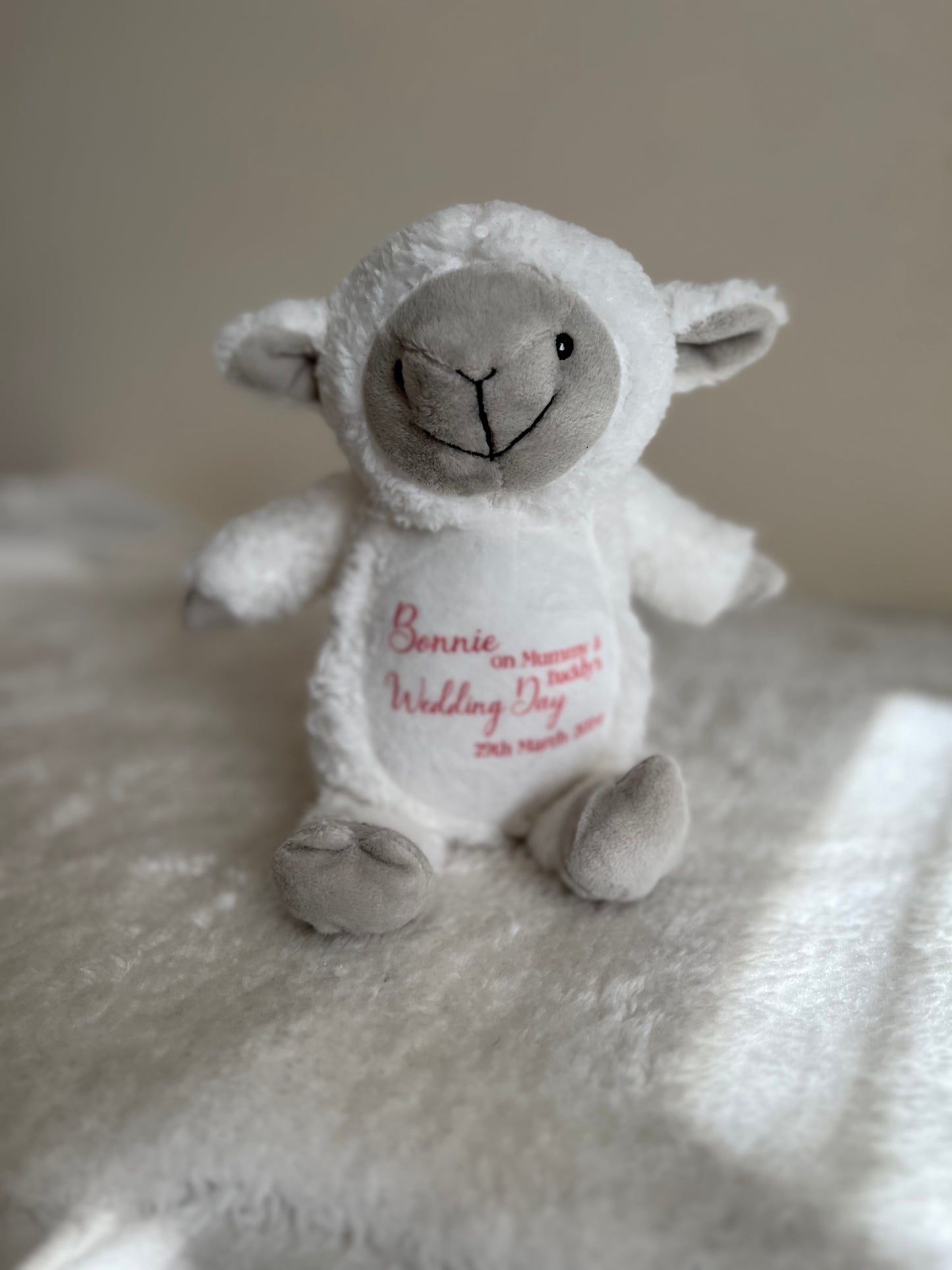 Personalised Mumbles Teddy’s Various