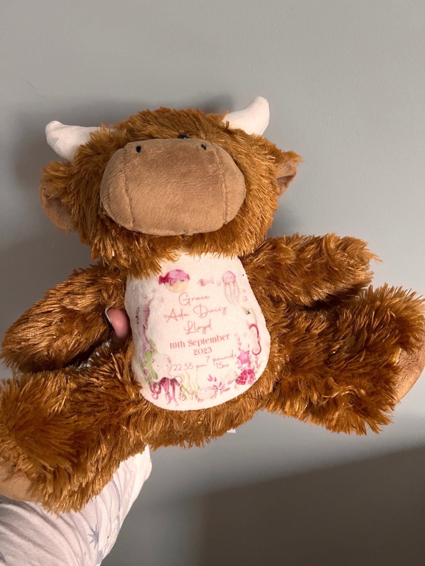 Personalised Mumbles Teddy’s Various